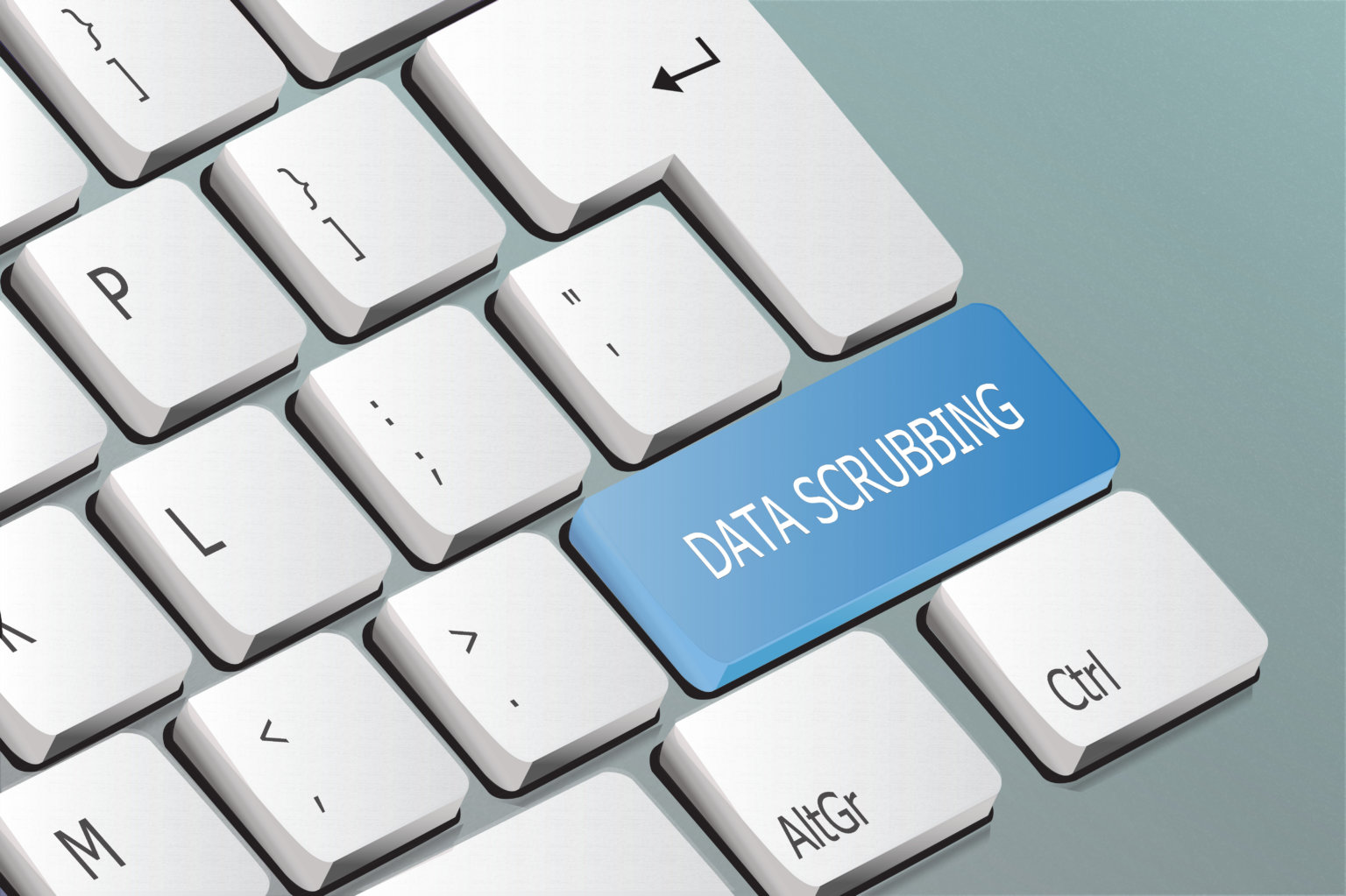 what-is-data-scrubbing-voapps